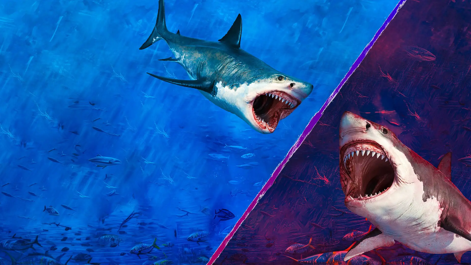 Jaws Megalodon'a Karşı